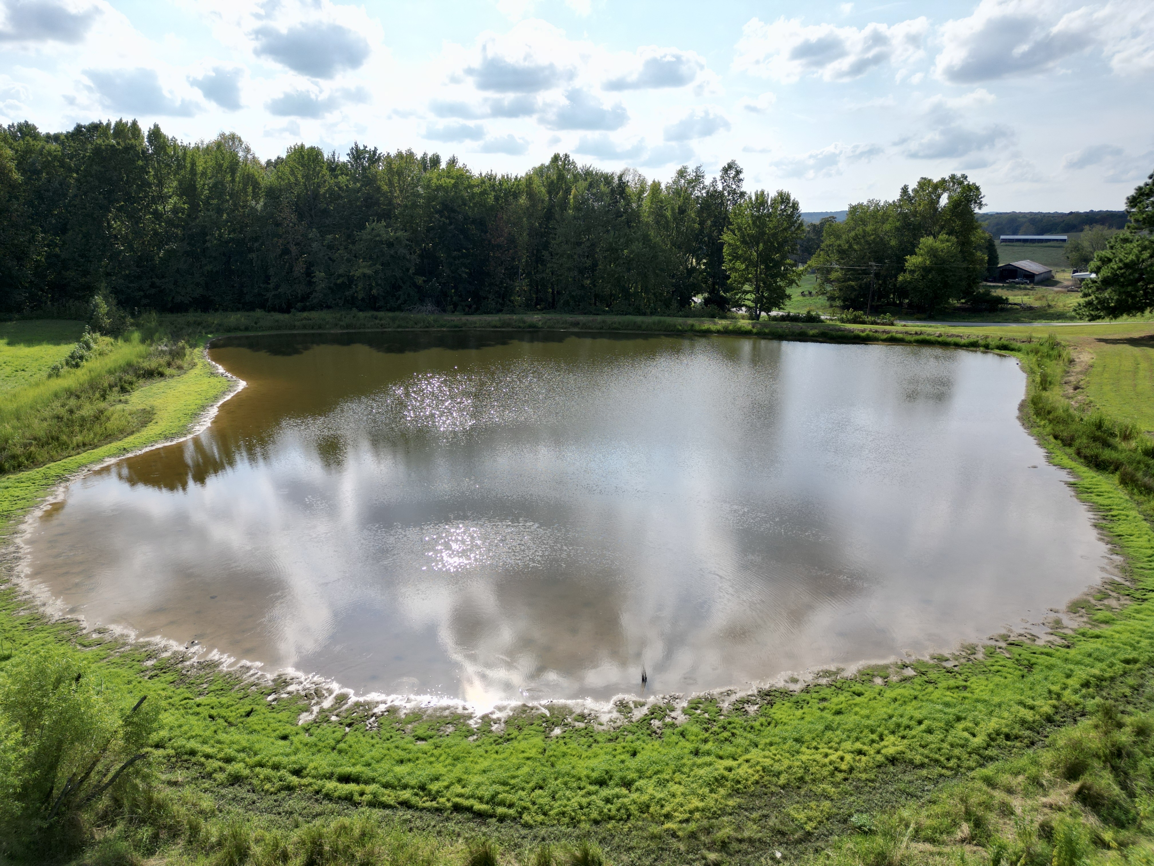 149 +/- Acres Selling in 3 Tracts in Greenville, Kentucky photo 4