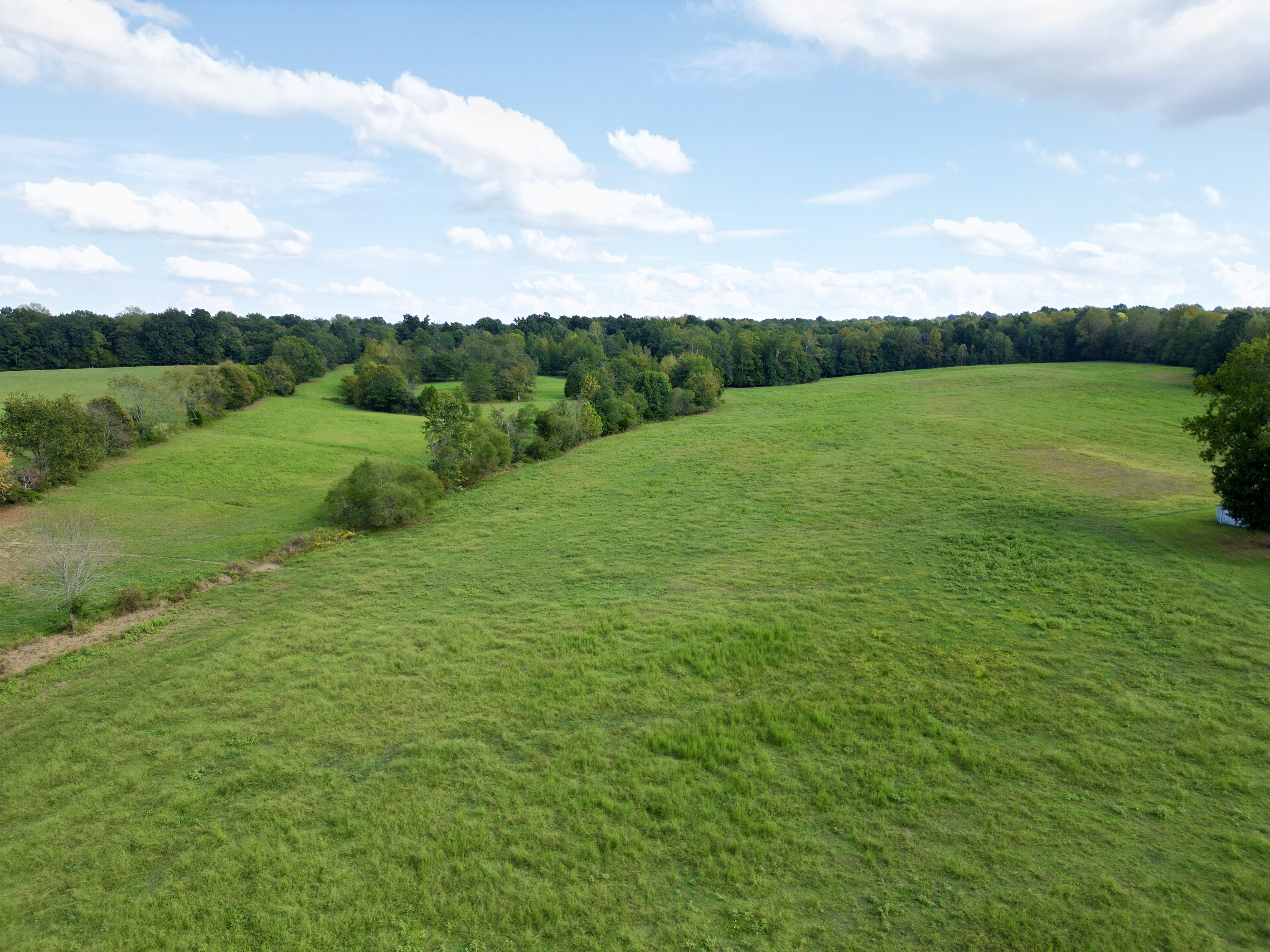 149 +/- Acres Selling in 3 Tracts in Greenville, Kentucky photo 5