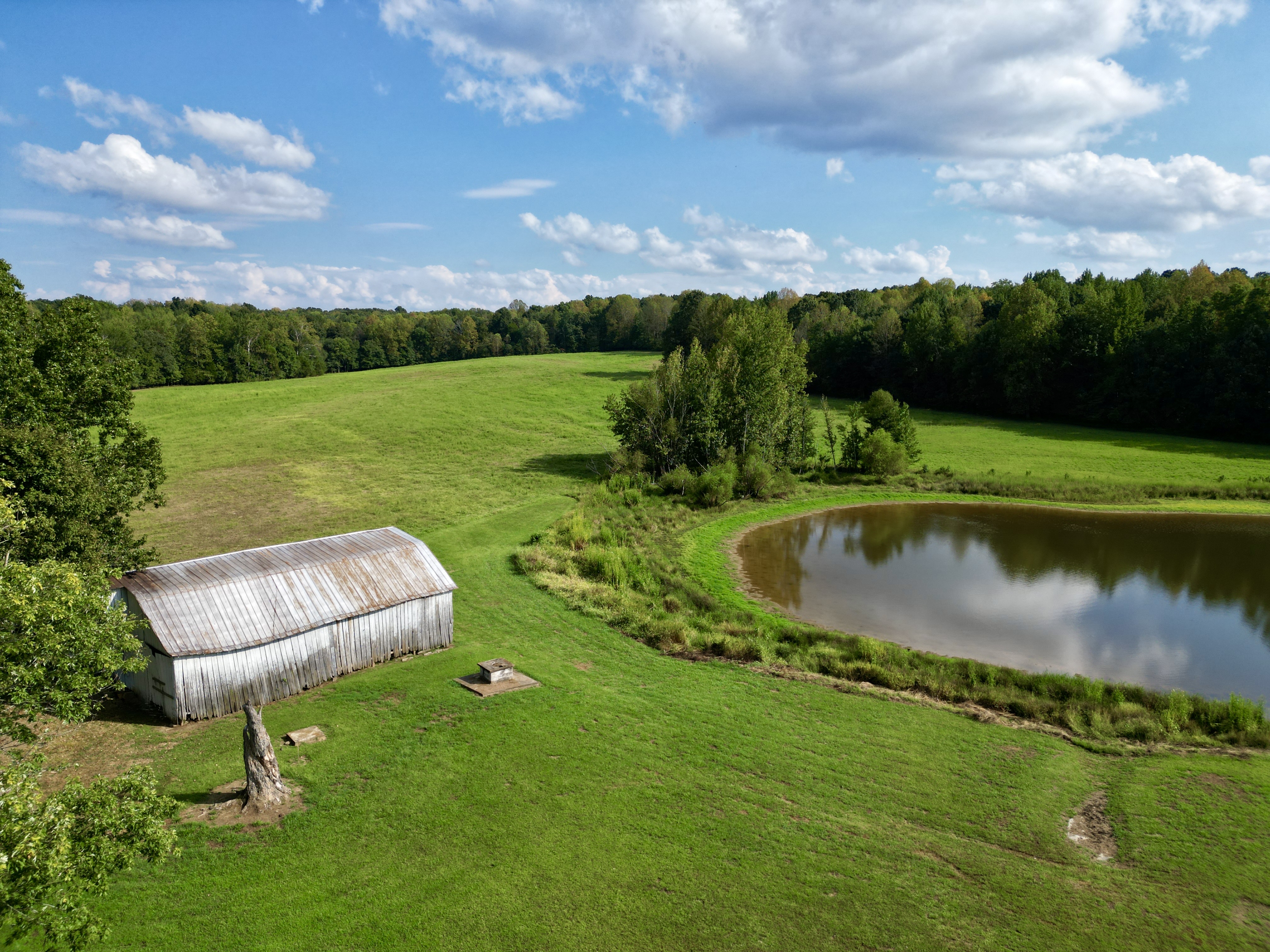 149 +/- Acres Selling in 3 Tracts in Greenville, Kentucky photo 6