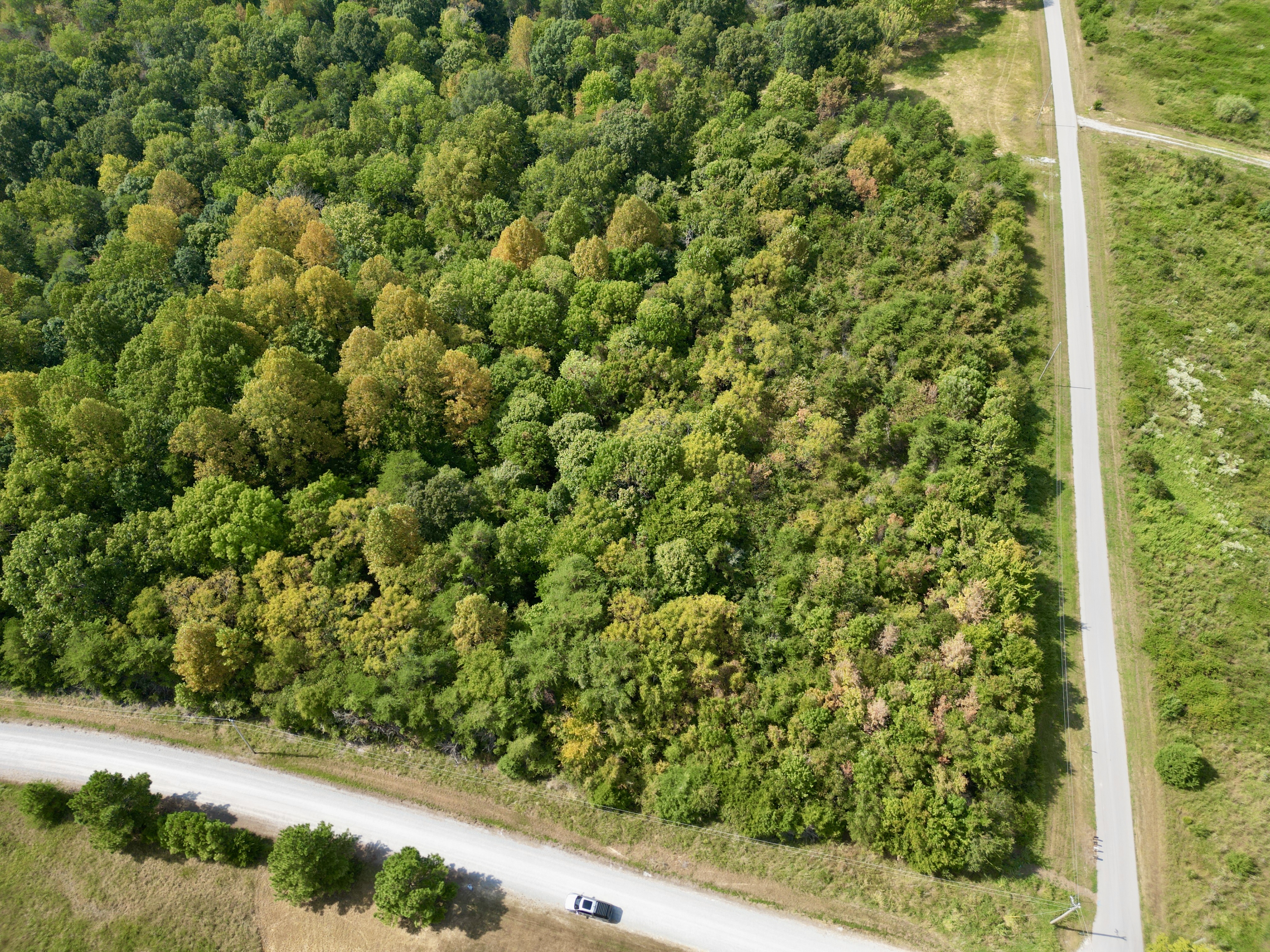 Beautiful Building Lot in Malone Meadows North photo 8